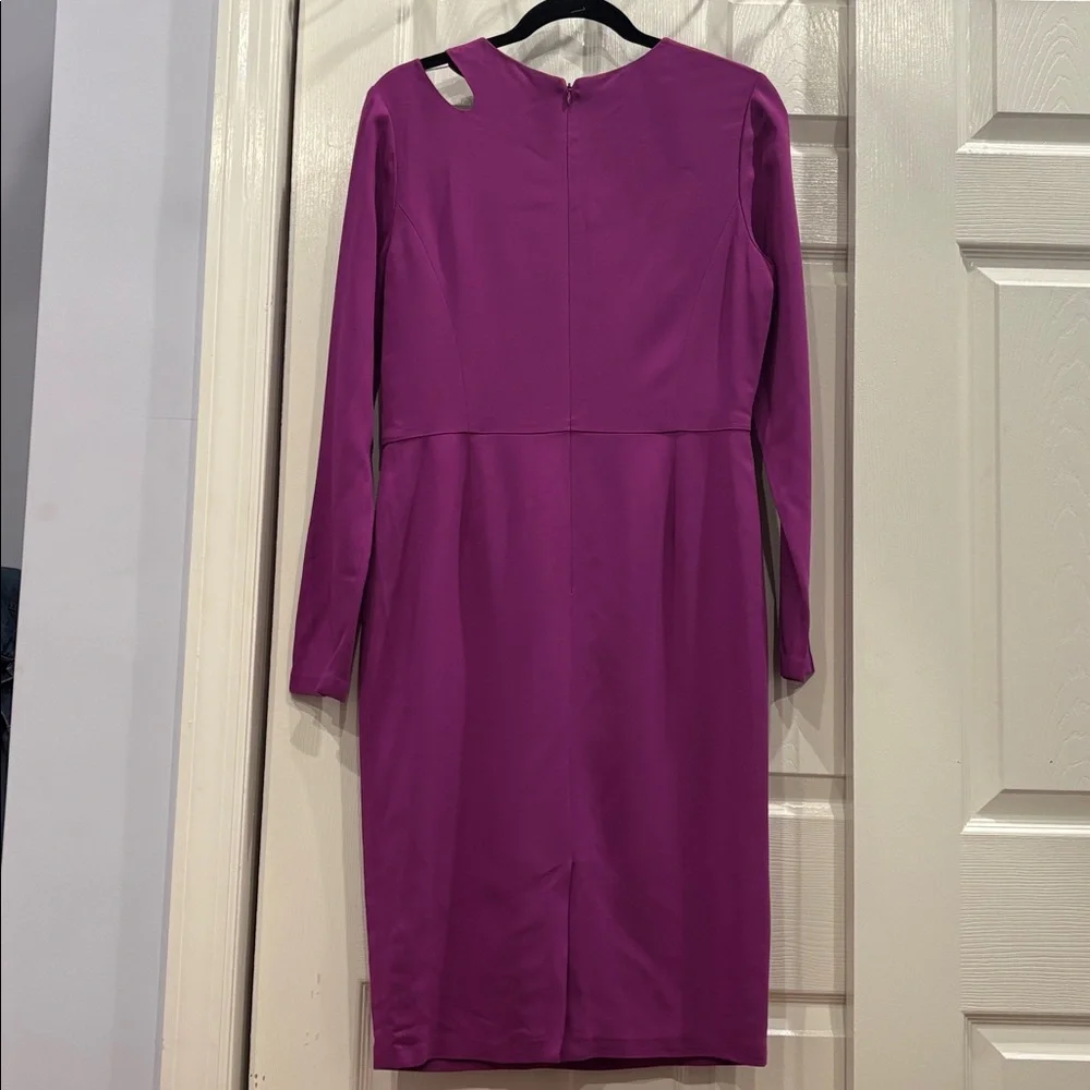 Raoul Purple Long Sleeve Dress - Picture 3 of 7